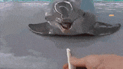 Sexy Art GIF by systaime