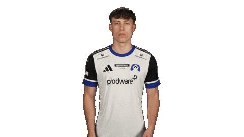 Hamburger Sv Applause Sticker by Bundesliga