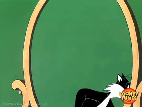 disappointed black friday GIF by Looney Tunes