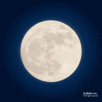 Moon And Stars Space GIF by Bulbble Inc.