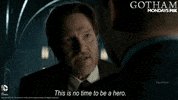 gotham GIF by Fox TV