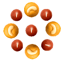 Art Diwali Sticker by Fortune Foods