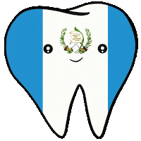 Flag Smile Sticker