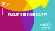 stadhasselt zomer hasselt zomerinhasselt stadhasselt GIF