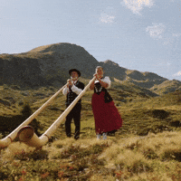 Alphorn Revamped