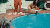 GIF by Domani