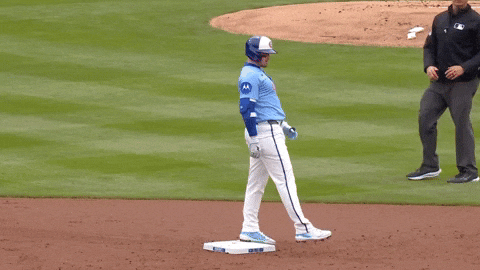 Get Loud Cubs GIF by TheDreamTeam 