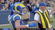 Los Angeles Rams Football GIF by NFL