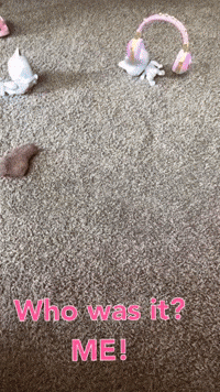 Girl Smile GIF by Flickplay