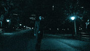 A Whole New World Aladdin GIF by ZAYN
