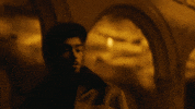 A Whole New World Aladdin GIF by ZAYN