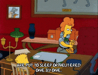 Season 2 GIF by The Simpsons