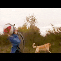 Air Bud GIF by jOnNy'S wOrLd