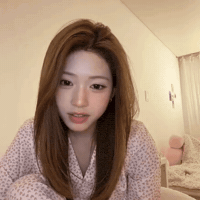 Bear GIF