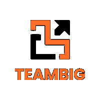 Teambig Sticker by Big Company