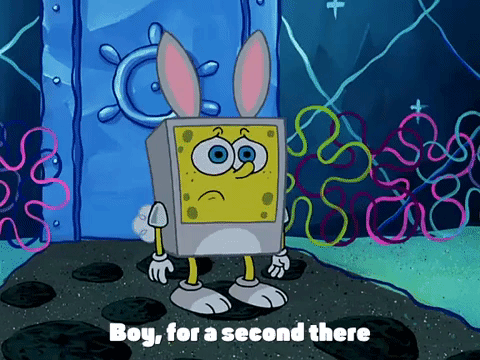 season 3 GIF by SpongeBob SquarePants