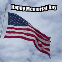 United States Usa GIF by GT8Studios