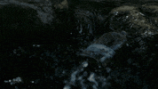 gethenjenkins party music video whiskey campfire GIF