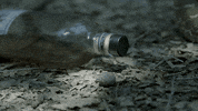 gethenjenkins party music video whiskey campfire GIF