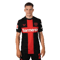 Bayer 04 Applause Sticker by Bayer 04 Leverkusen