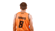 Sport Basketball Sticker by Basket_fi
