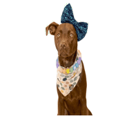 Tucson Sticker by JSRanchDogDesigns