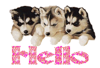 Chelsea Football Club Hello Sticker