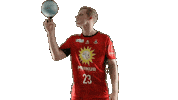 Handball Holland Sticker by tusnluebbecke