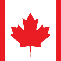 Greeting Canadian GIF by Masters of Mayhem
