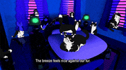 Cat Lady Cats GIF by Spaghetti