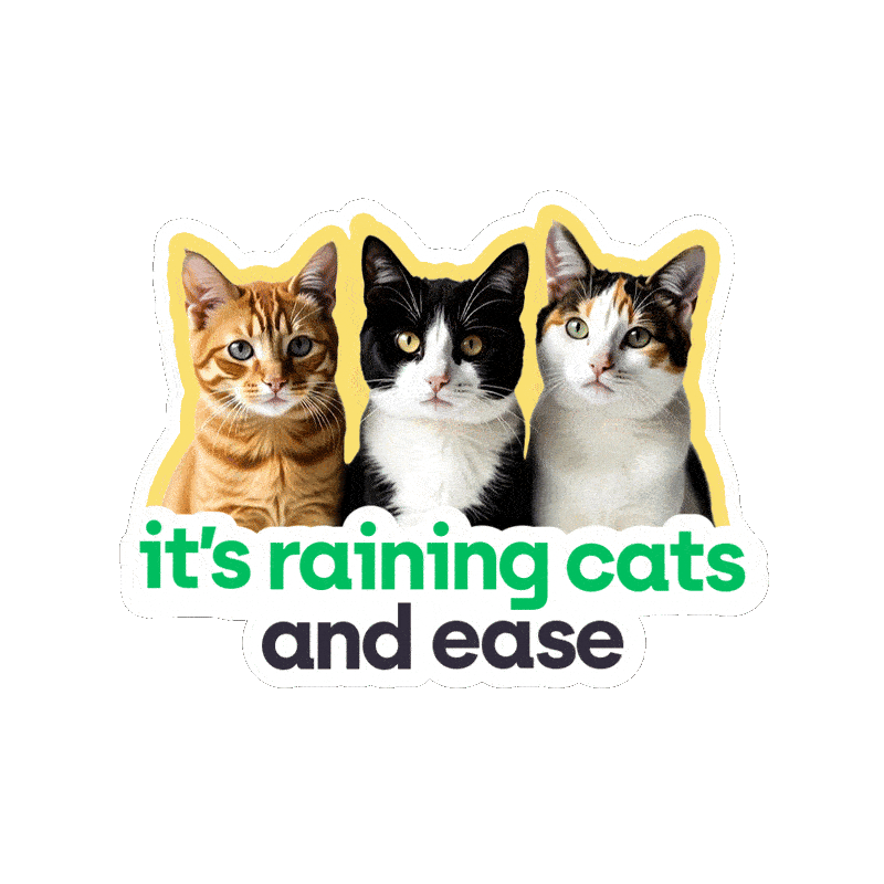 Digitalbank Sticker by easypaisa