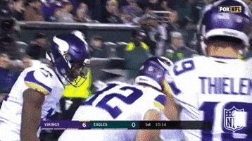 Minnesota Vikings Football GIF by NFL