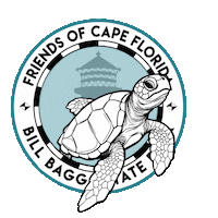 Friendsofcapeflorida keybiscaynelighthouse focforg friendsofcapeflorida billbaggsstatepark Sticker