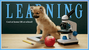 GIPHY PSA Learning