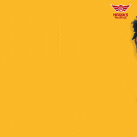 HawksTalonGC hello bye yo whats up GIF