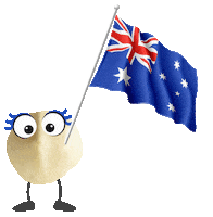 Macadamia Nut Sticker by Australian Macadamias