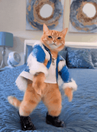 GIF by funimagesvip