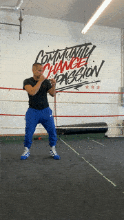 quinitboxing  GIF