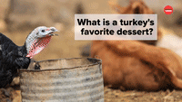 What is a Turkey's Fav Dessert?
