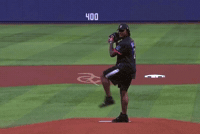 Miami Dolphins First Pitch GIF by Respective