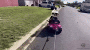 Helmet Memecoin GIF by Sad Hamster