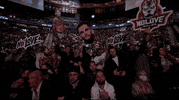 No Love Sport GIF by UFC