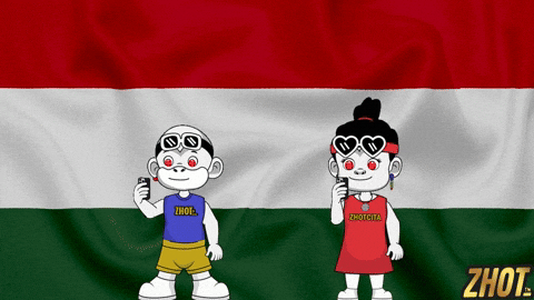 Flag Hungary GIF by Zhotcita