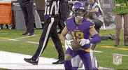 Minnesota Vikings Football GIF by NFL