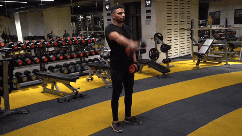 BamBamDoubleBB giphyupload dumbbell alternating front raise GIF
