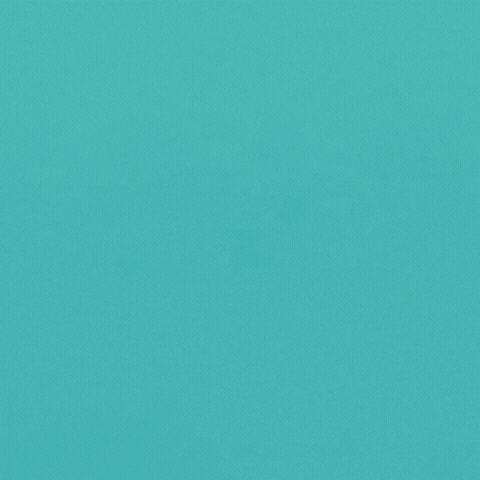 Animation GIF by Outhousebyran