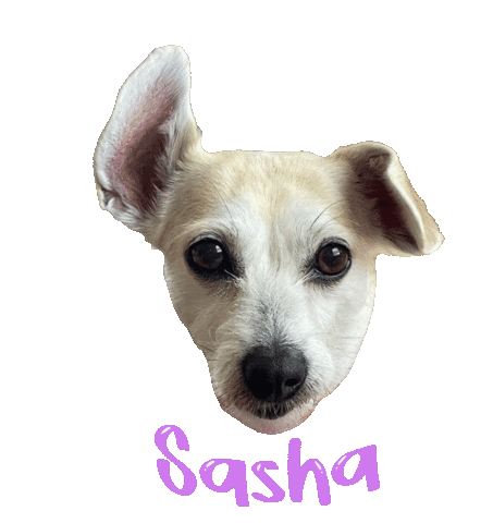 Dog Sasha Sticker