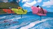 Head Of Household Competiton GIF by Big Brother