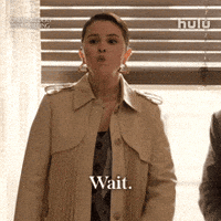 Selena Gomez Stop GIF by HULU