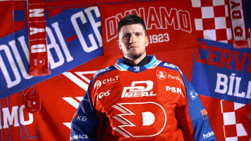 Tomas GIF by HC Dynamo Pardubice